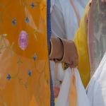 Vraj-Yatra-2014- (686)